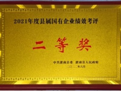 2021年度县属国有企业绩效考评