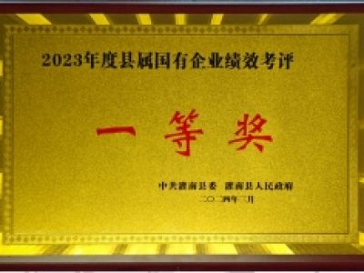 2023年度县属国有企业绩效考评--一等奖